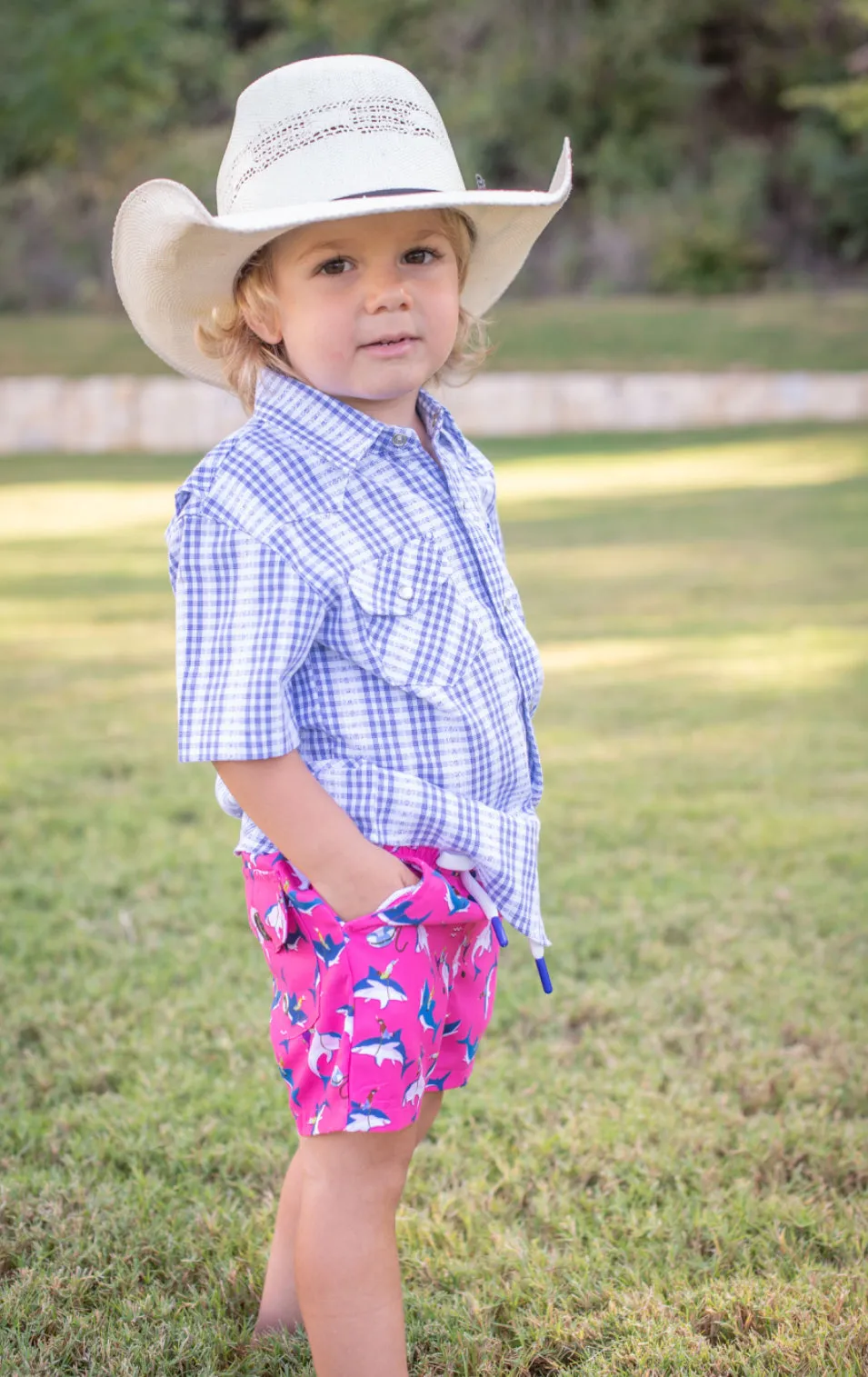 Pearl Snap Short Sleeve | Navy Plaid